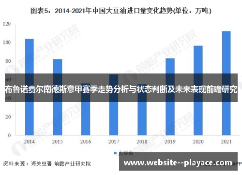 布鲁诺费尔南德斯意甲赛季走势分析与状态判断及未来表现前瞻研究 布鲁诺费尔南德斯意甲赛季走势分析与状态判断及未来表现前瞻研究