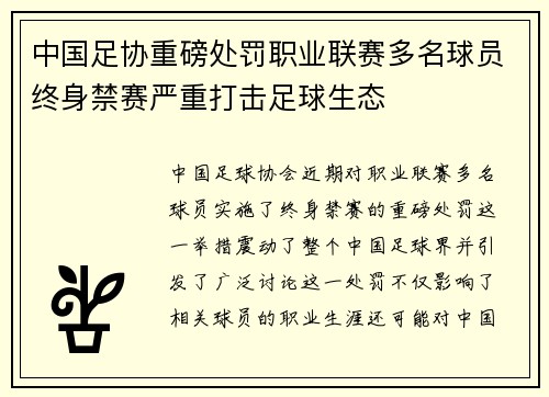 中国足协重磅处罚职业联赛多名球员终身禁赛严重打击足球生态