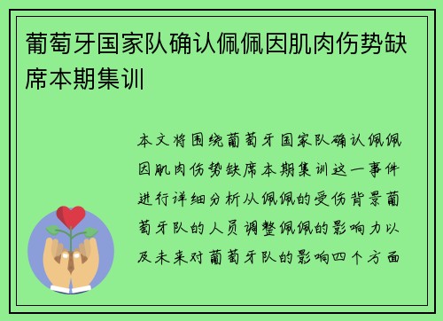 葡萄牙国家队确认佩佩因肌肉伤势缺席本期集训